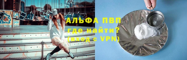 индика Саяногорск