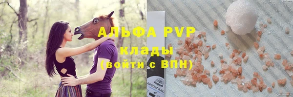 индика Саяногорск