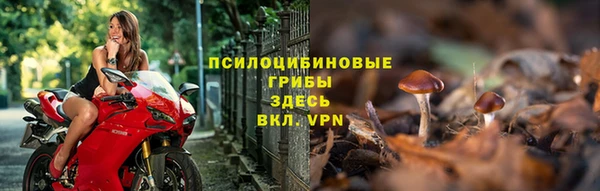 мдпв Сатка