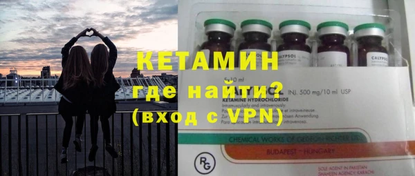 индика Саяногорск