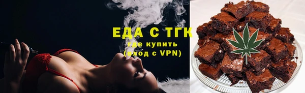индика Саяногорск