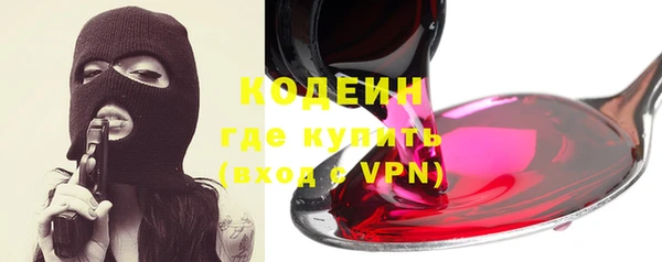 индика Саяногорск