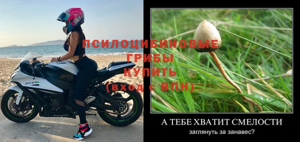 мдпв Сатка