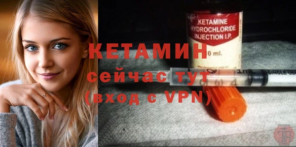 индика Саяногорск