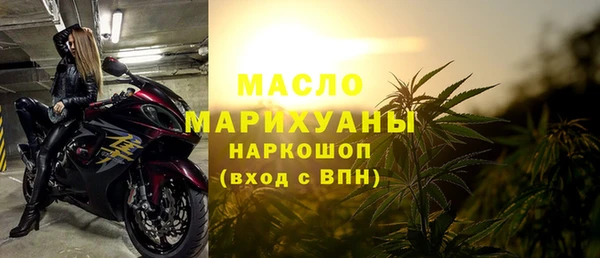 индика Саяногорск